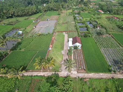 Tanah Purwokerto Bonus Kolam Gazebo dan Bibit Pohom