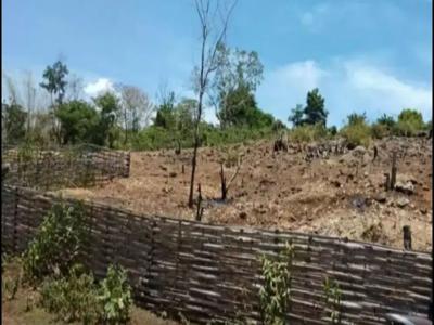 Tanah Kebun murah 10 hct dekat SPN Batua Tala-tala , Maros