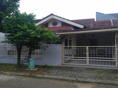 Disewakan Rumah Bagus di Kencana Loka BSD