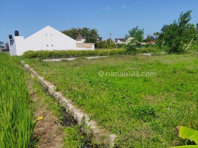 Dijual Tanah di Jogja, View Sawah Kaliurang Sleman