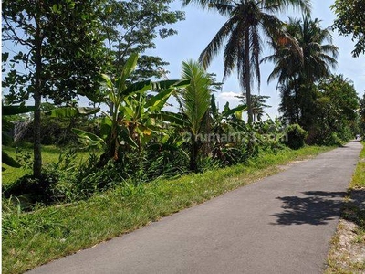 Tanah Dijual Sleman, Utara Sekolah Bias Jalan Kaliurang Km 10