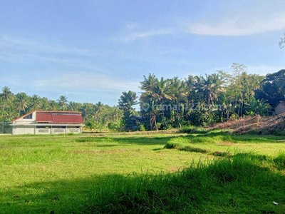 Investasi Tanah Exit Toll Kulon Progo, Jogja