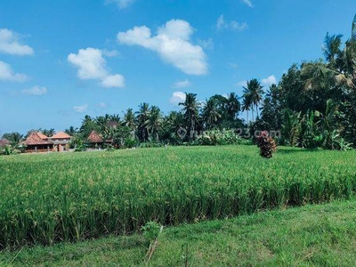 Tanah murah view sungai lingkungan Villa di Peliatan Ubud Bali