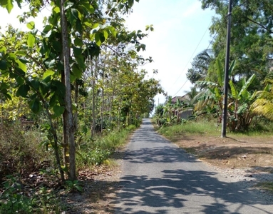 Tanah nanggulan Kulonprogo Yogyakarta 300 ribu per meter