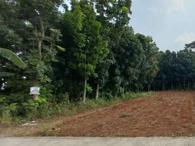 Di Jual Kavling SHM Siap Pakai jl.Kramat Leuwinanggung,Cikeas