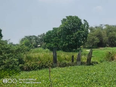 Di jual tanah zona kuning untuk Cluster di kp sukaraya cikarang utara