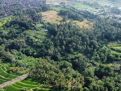 Dijual Tanah MURAH Loss Sungai Besar Petanu Cocok Kavling Perumahan
