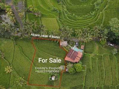 For Sale Tanah Di Tampak Siring View Cantik Persawahan & Lembah