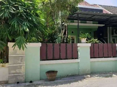 Rumah Cantik Dengan Tanah Luas di Jalan Tajem Maguwoharjo, Sleman