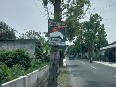 Tanah Bagus Strategis Mangku Jalan Palagan (Selatan Pasar Rejodani)