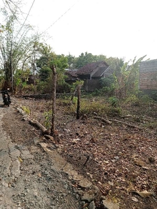 Tanah Murah Dekat Kampus UMY di Bangunjiwo Karangjati