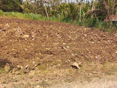 Tanah Murah di Sendangsari, Pengasih, Kulon Progo.