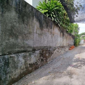 Tanah Murah Tumbak Bayuh dekat Canggu Mengwi Badung Bali