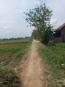Tanah Sawah Murah Tepi Jalan Dekat Jalan Raya DI Samping Rumah