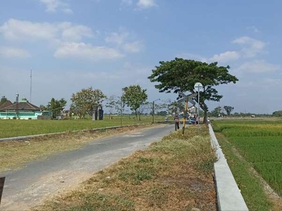 tanah SAWAH MURAH tepi jalan desa di Delanggu Klaten