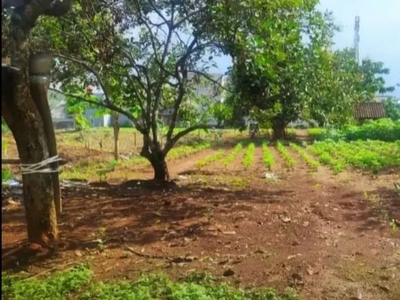 Tanah Tembalang Gondang Dekat Undip Tembalang Strategis