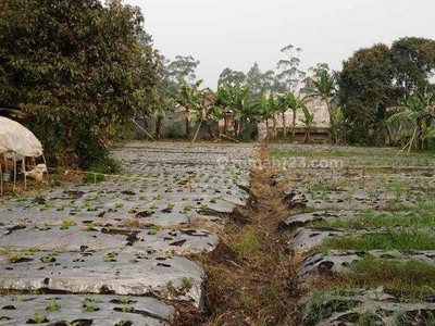Tanah Kavling Konsep Cluster di Lembang Cibogo Ciburial Lembang