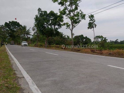 Tanah Murah Tepi Jalan Blabak Mungkid Magelang, Siap Akad Notaris