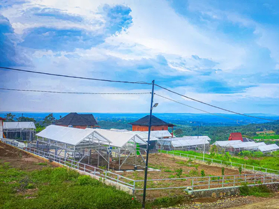 Jual tanah kavling kebun anggur di Bogor