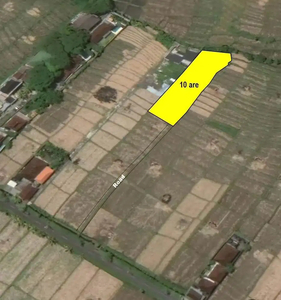 Land for lease at cemagi