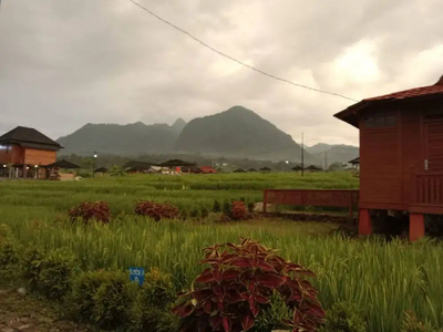 Tanah View Istimewa di Puncak Dua Bogor