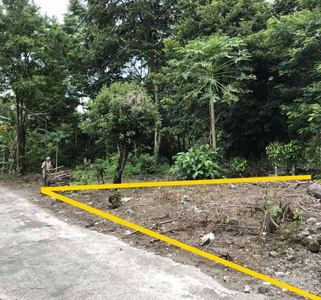Utara Exit Tol Jogja-Solo, Tanah Sleman SHM Siap Bangun, No Urug