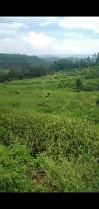 Di jual tanah sawah produktif di Warungkiara sukabumi