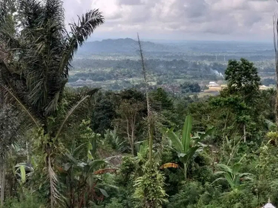 Dijual Rumah Lahan Luas dengan View Indah di Penebel Tabanan Bali