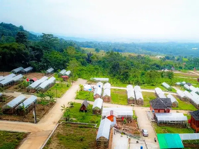 Investasi Kavling tanah murah Bogor kebun anggur rumah villa wisata