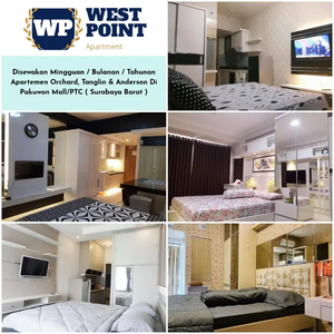 Orchard & Tanglin Apartemen Disewakan ( Pakuwon Mall/PTC )