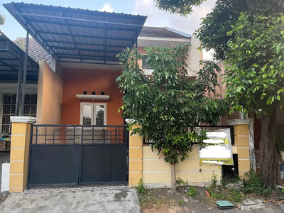 Rumah 3 Kamar Luas 90m2 di Bukit Palma, Citraland Surabaya