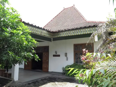 Rumah Joglo Agung di Jogja Kayu Jati Bangunan Kokoh