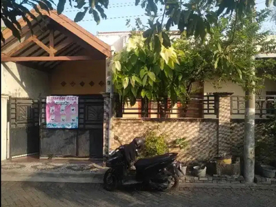 Rumah Murah Minimalis Siap Huni Di Medayu Sentosa Rungkut Surabaya