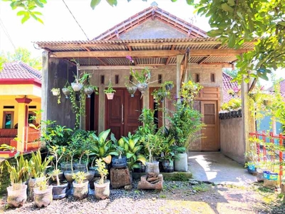 Rumah Siap Huni Tepi Jl Raya Batujamus Jambangan Sragen