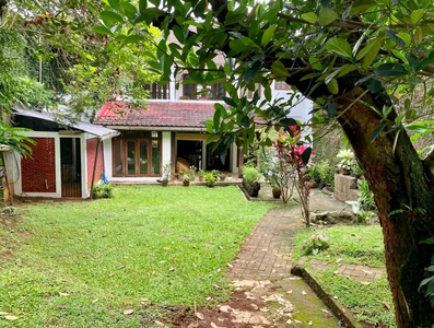 Rumah Tanah Luas di Sektor 3A Bintaro Jaya keren (13513)