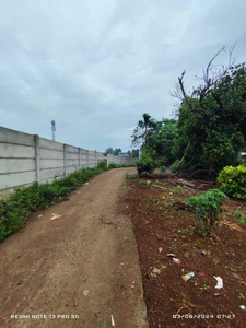 Tanah Murah Dijual Di Gunung Sindur Cocok Untuk Gudang Workshop