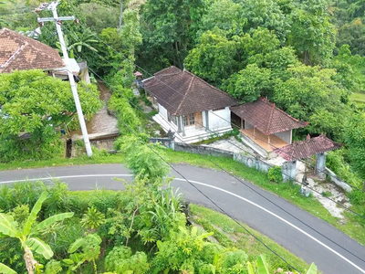 Tanah Murah Pinggir Jalan dan Sungai di Panji Anom