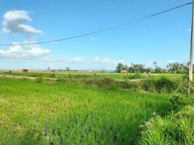 Dijual Cepat Butuh Uang Lokasi Tanah di Pantai Purnama - Gianyar Bali