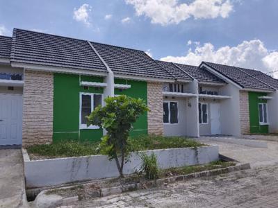Rumah Cluster murah Tangerang