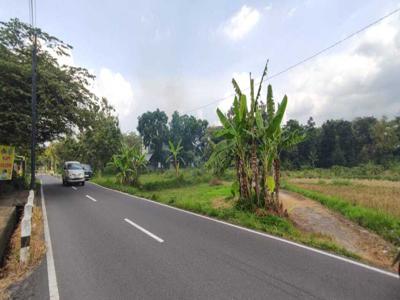 Tanah Murah Jogja Tepi Jalan Raya Cocok Dibangun Usaha