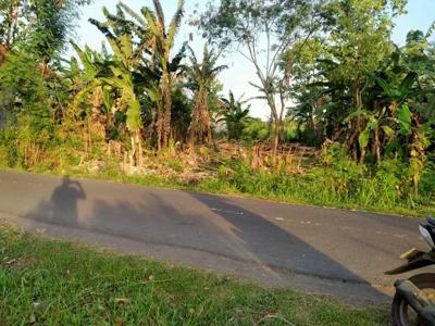 Tanah langka pinggir Jalan 500m2 di Jalan P. Jawa perbatasan Dauh waru