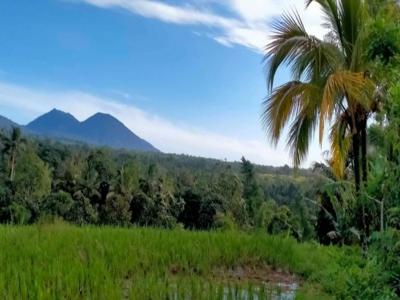 Di Jual tanah di penebel Tabanan Bali