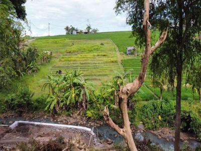 Di jual tanah kecil dengan view sawah dan sungai dekat panti