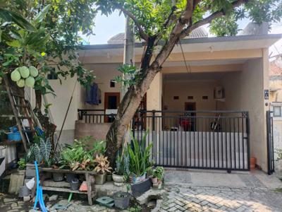 Dijual Cepat Rumah Perumahan Permata Safira Wiyung Surabaya