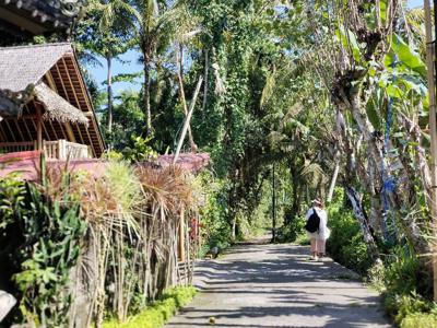 jual Tanah view sawah di Ubud Gianyar Bali