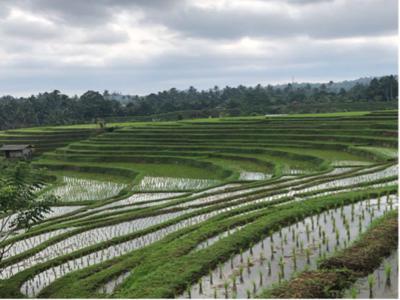 Tanah view cantik di tabanan jarang ada