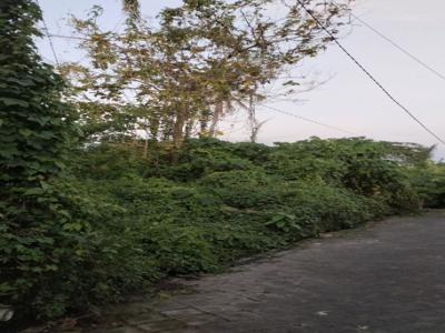 Di Jual Tanah Di Tumbakbayuh Canggu Bali