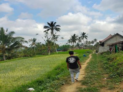 Dijual lahan di Payangan Ubud view lembah cliff hutan dan sawah