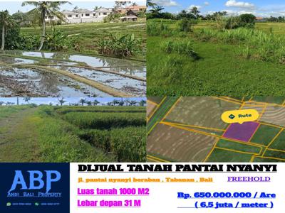 DIJUAL TANAH DI PANTAI NYANYI DEKAT TANAH LOT