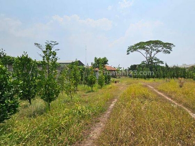 Tanah di Kavling di jl.Raya Cukang Galih( dekat Cikupa).Tangerang SHM 16657 m²